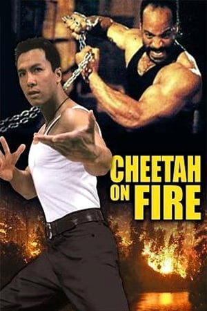 Cheetah on Fire 1992 Dual Audio | Dubbed Hindi Movie Web-DL 290MB