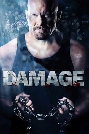Damage 2009 Dual Audio | Dubbed Hindi Movie BluRay 330MB