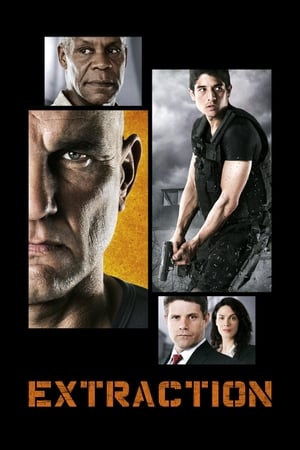 Extraction 2013 Dual Audio | Dubbed Hindi Movie WebRip [1.4GB]