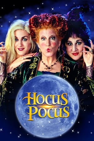 Hocus Pocus 1993 Dual Audio | Dubbed Hindi Movie BluRay 320MB