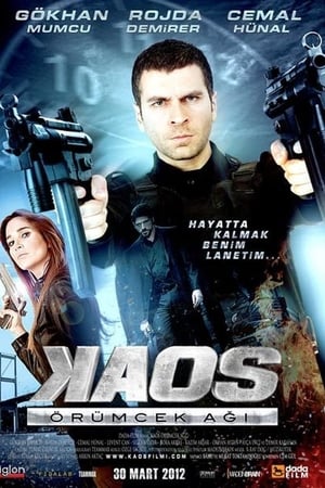 Kaos: Örümcek Agi (2012) Dual Audio HDRip | Dubbed Hindi Movie – 480p