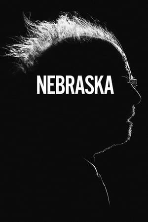 Nebraska 2013 Dual Audio | Dubbed Hindi Movie BluRay 300MB