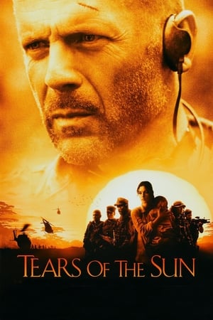 Tears of the Sun 2003 Dual Audio | Dubbed Hindi Movie BluRay [970MB]