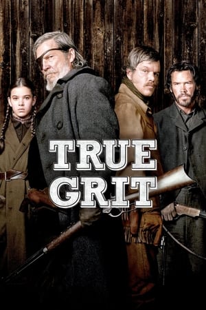 True Grit (2010) Dual Audio | Dubbed Hindi Movie BluRay [950MB]