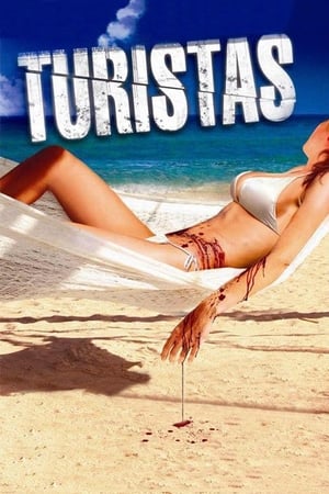 Turistas (2006) Dual Audio Full Movie | Dubbed Hindi Movie BluRay [ESubs] - 880MB