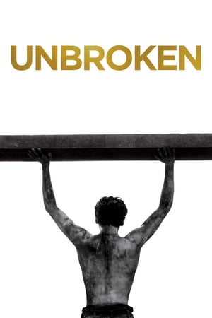 Unbroken (2014) Dual Audio | Dubbed Hindi Movie BluRay [1.2GB]