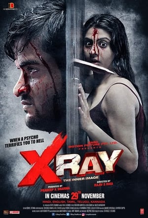 X Ray The Inner Image 2019 Movie | Dubbed Hindi Movie HDRip x264 [900MB]